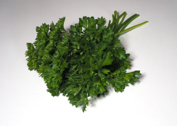 parsley-robust-2.png